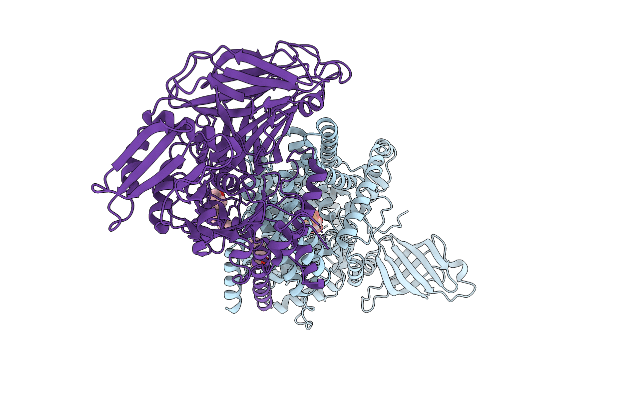 4HG6 image