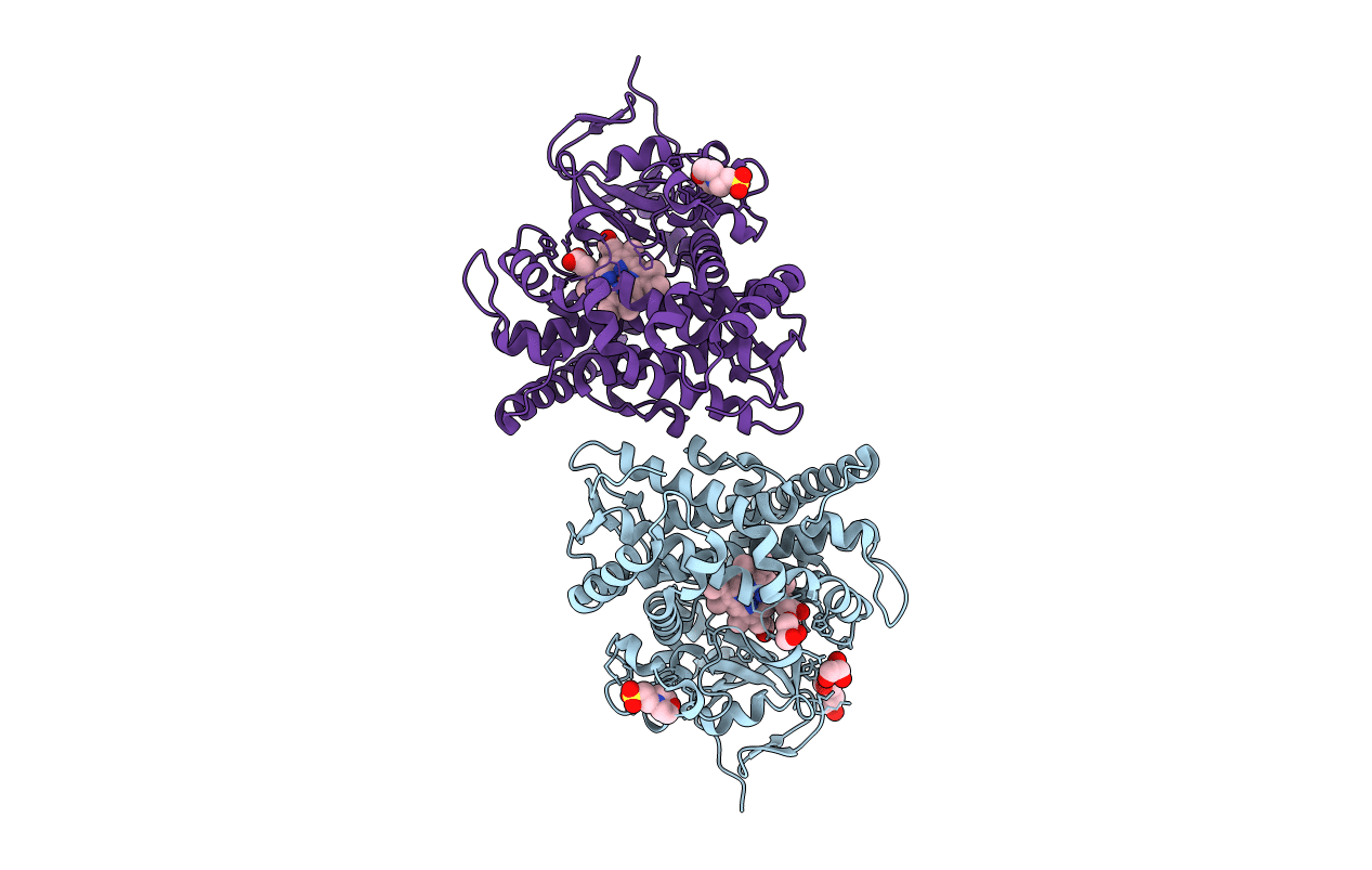4HGH image