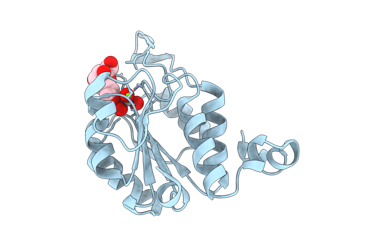 4HGP image