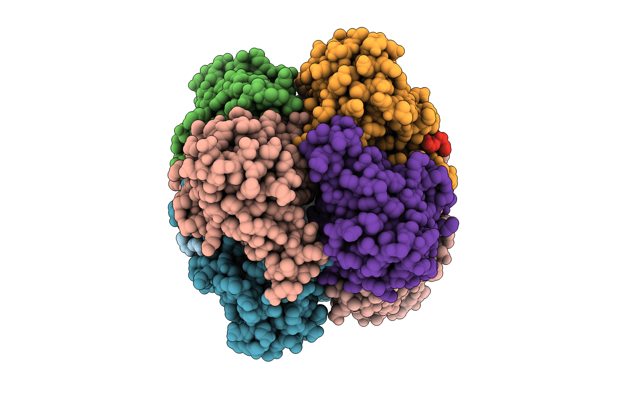 4HGR image