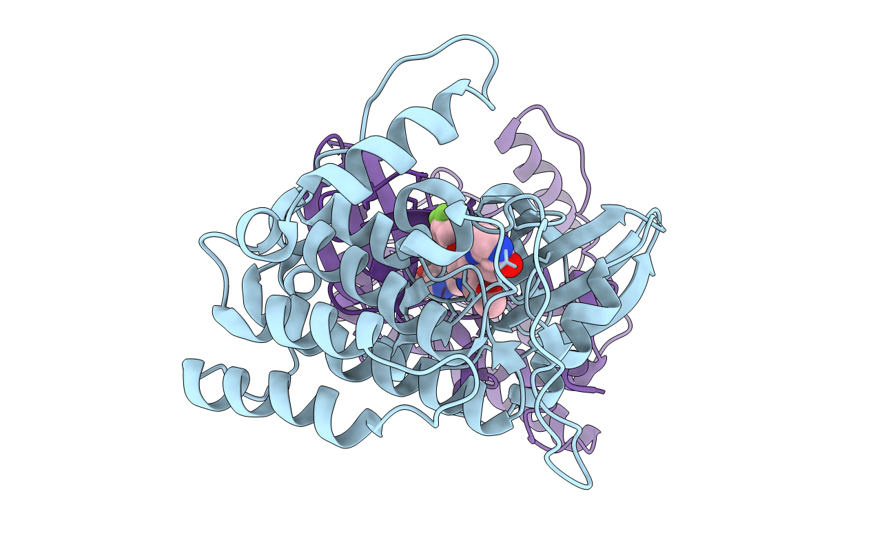 4HGT image