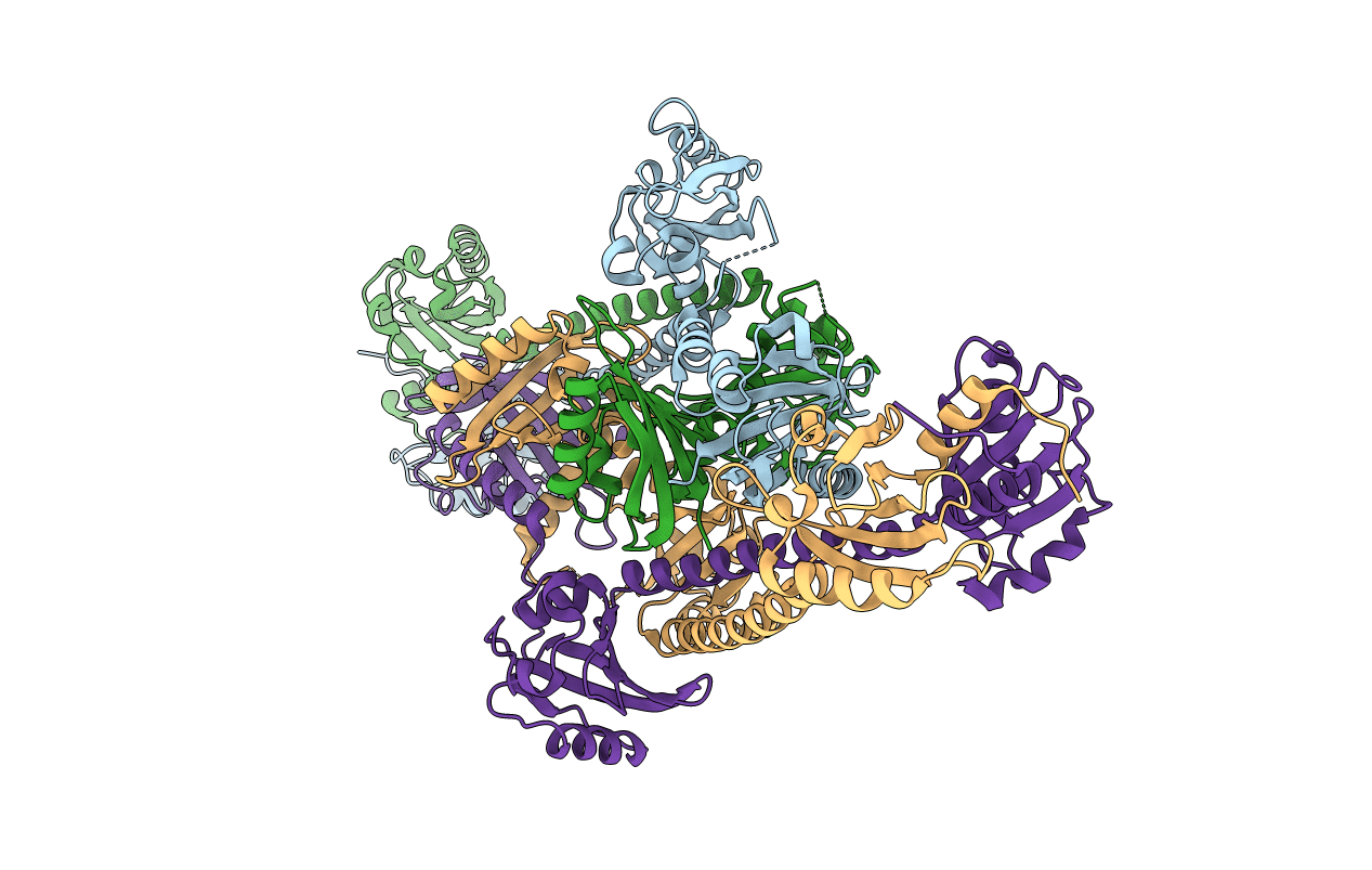 4HH2 image