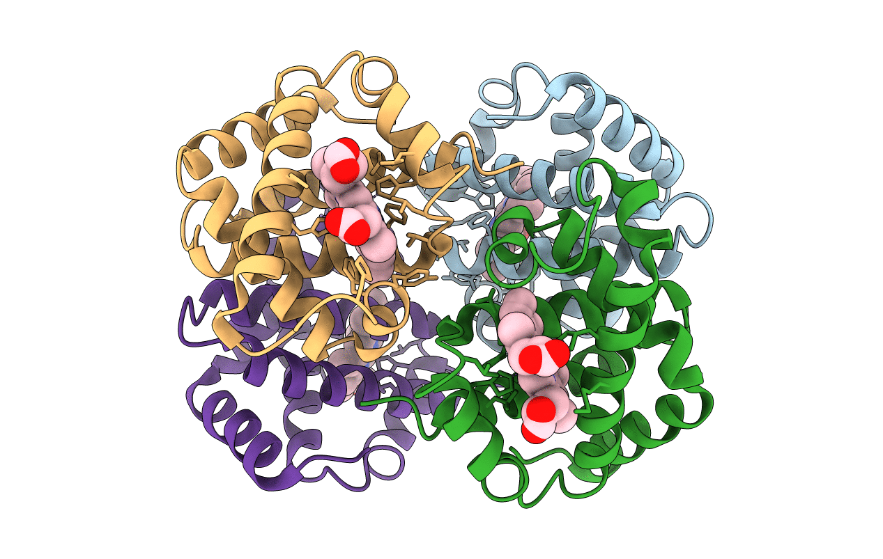 4HHB image