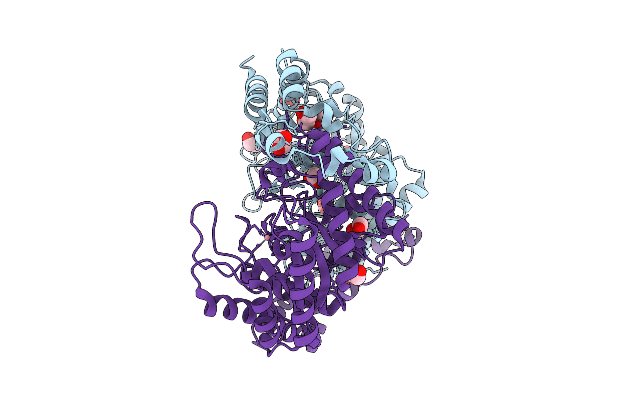 4HHL image