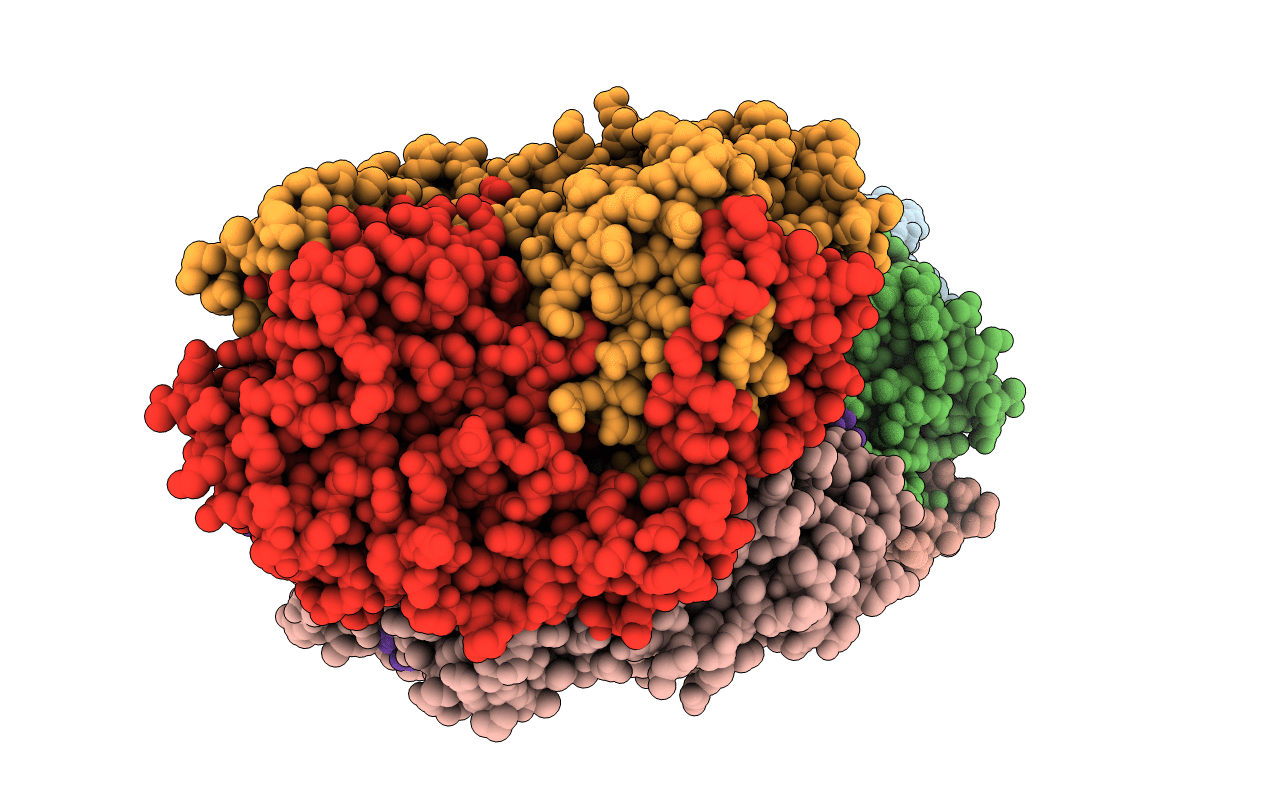 4HHM image