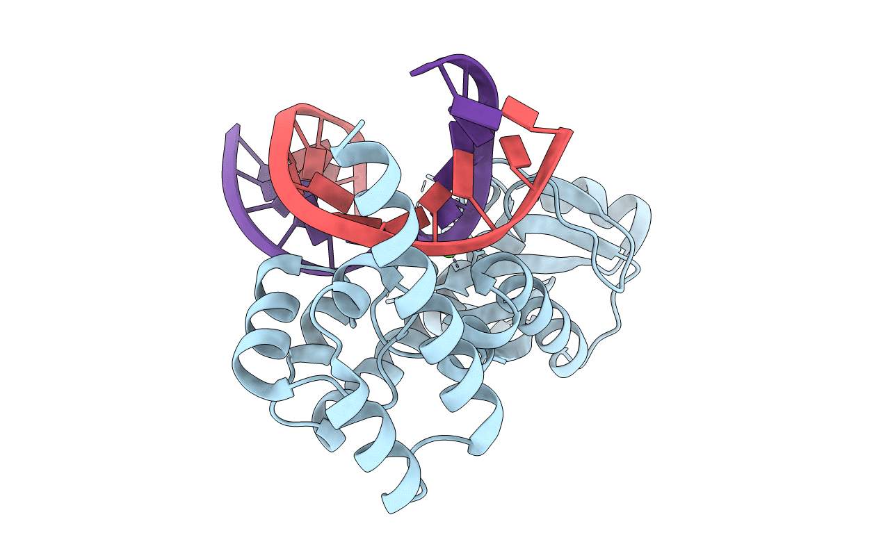 4HHT image