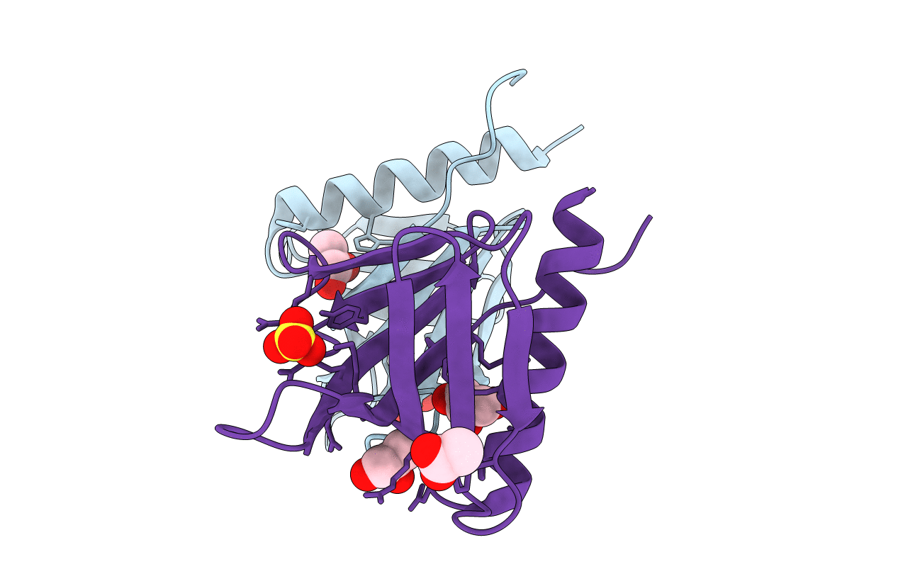 4HHV image