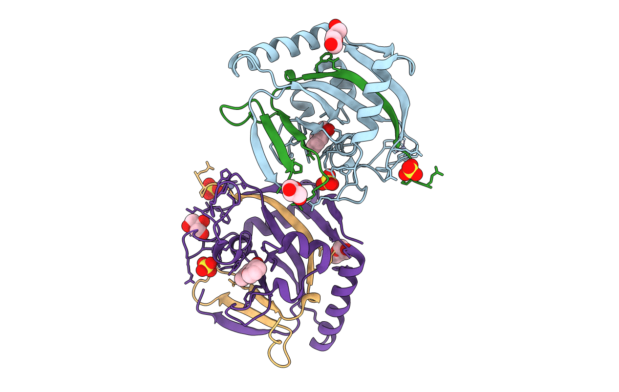 4HKI image