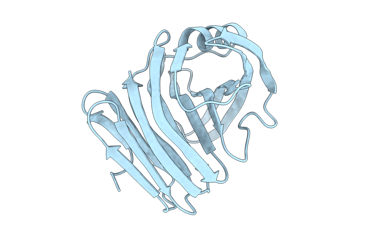 4HKL image