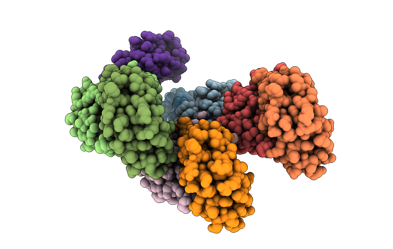 4HL9 image
