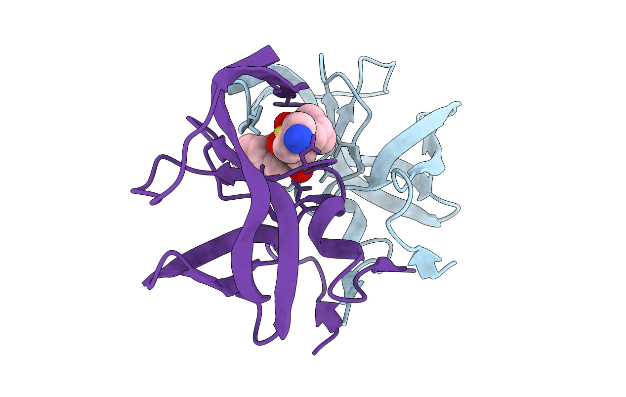 4HLA image