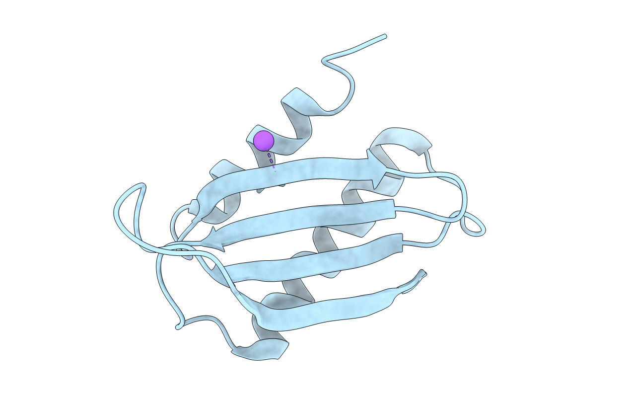 4HLB image
