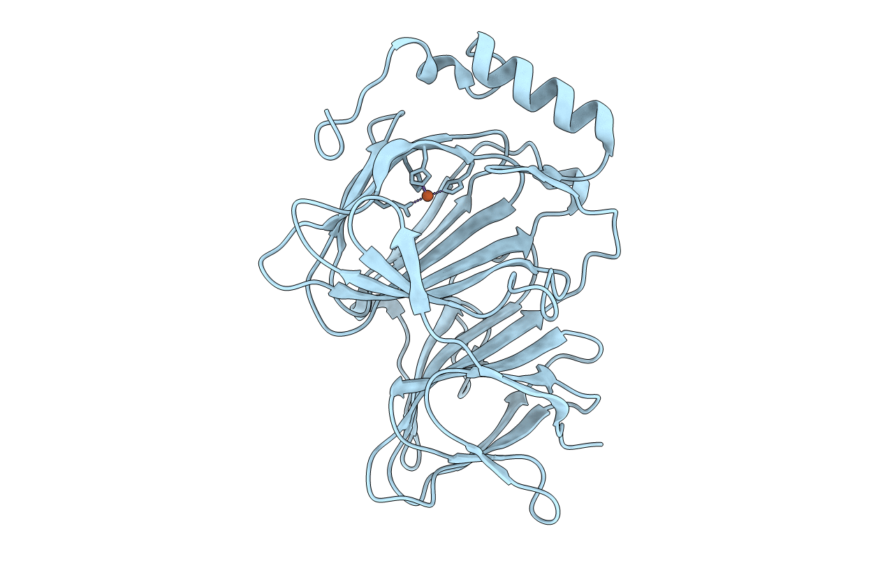 4HLT image