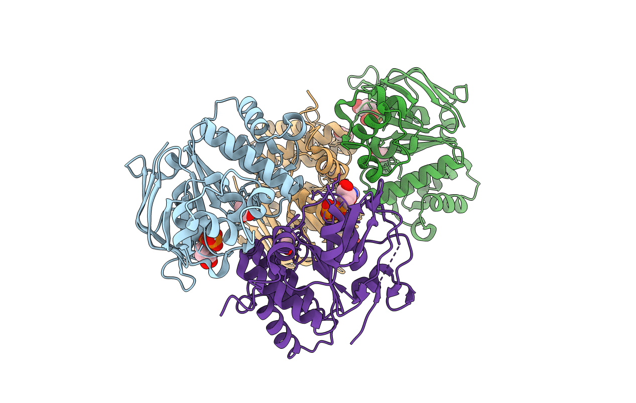 4HLU image