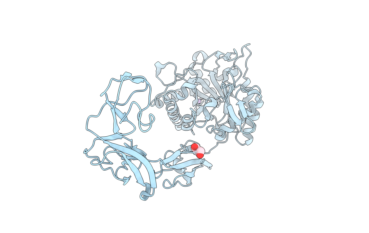 4HMC image