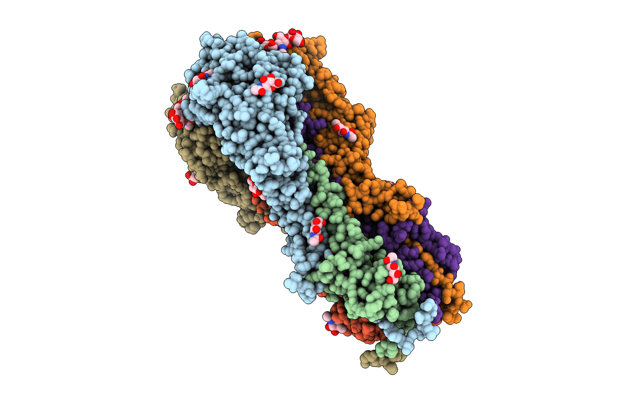 4HMG image