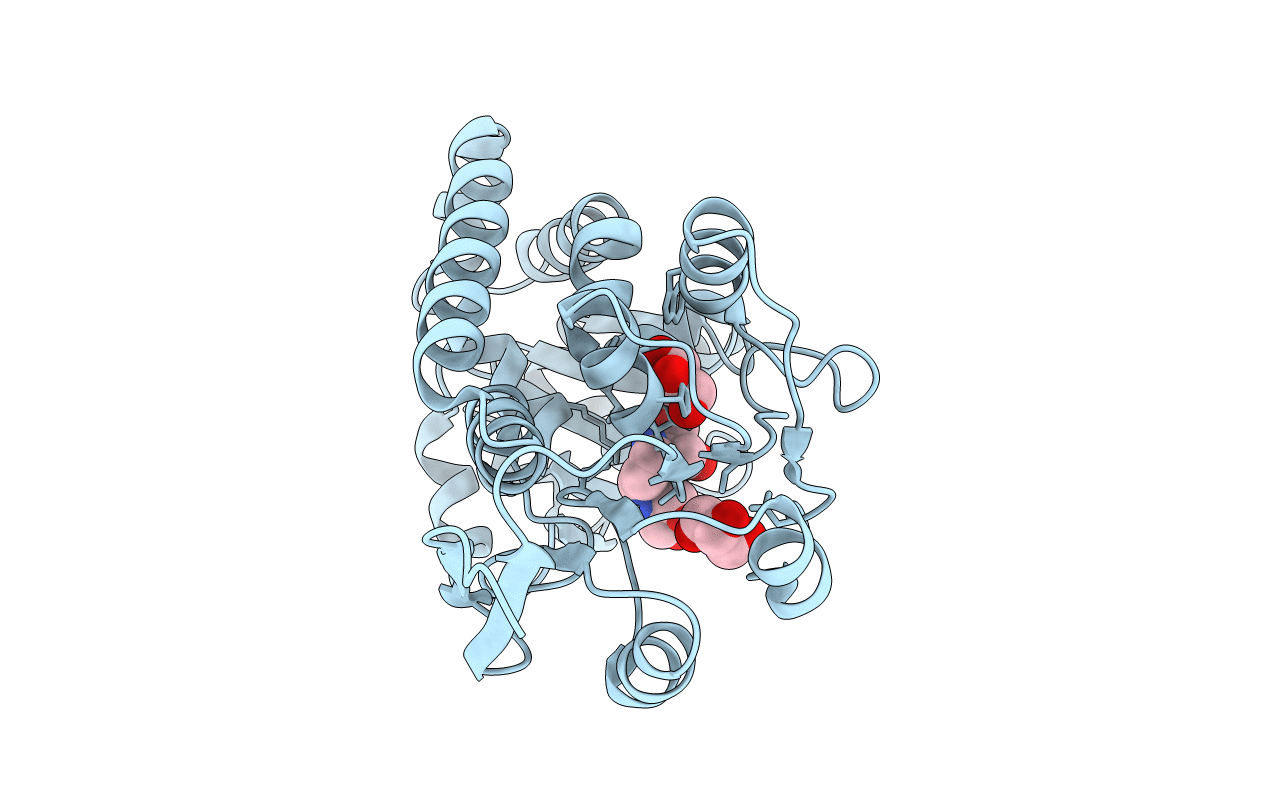4HMO image