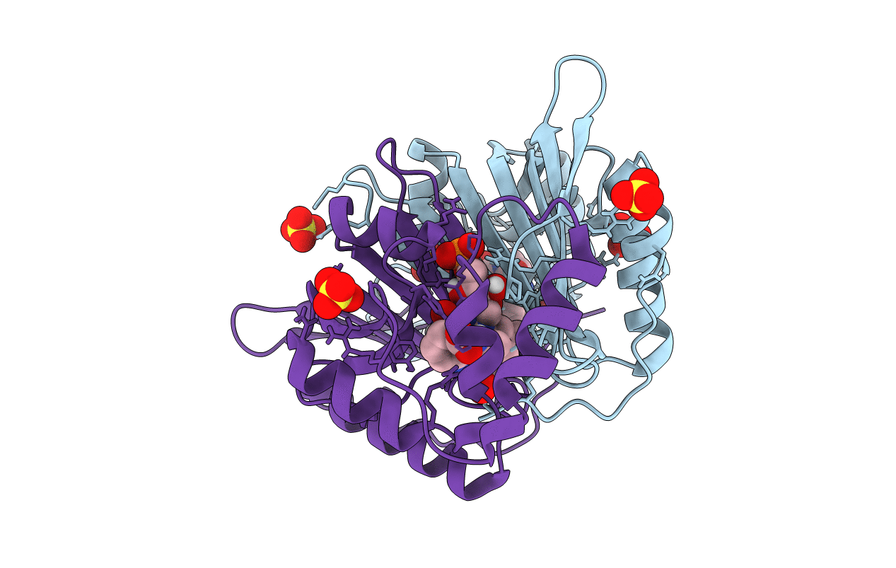 4HMT image