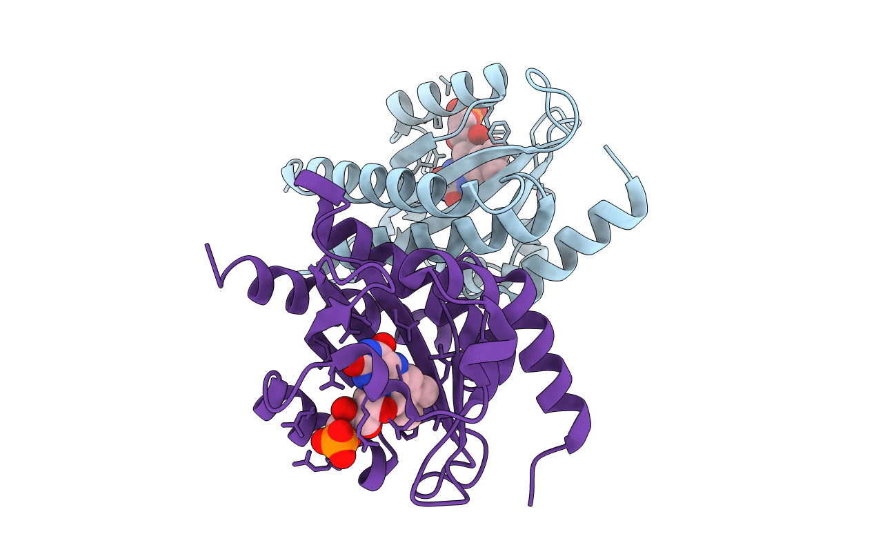 4HNB image