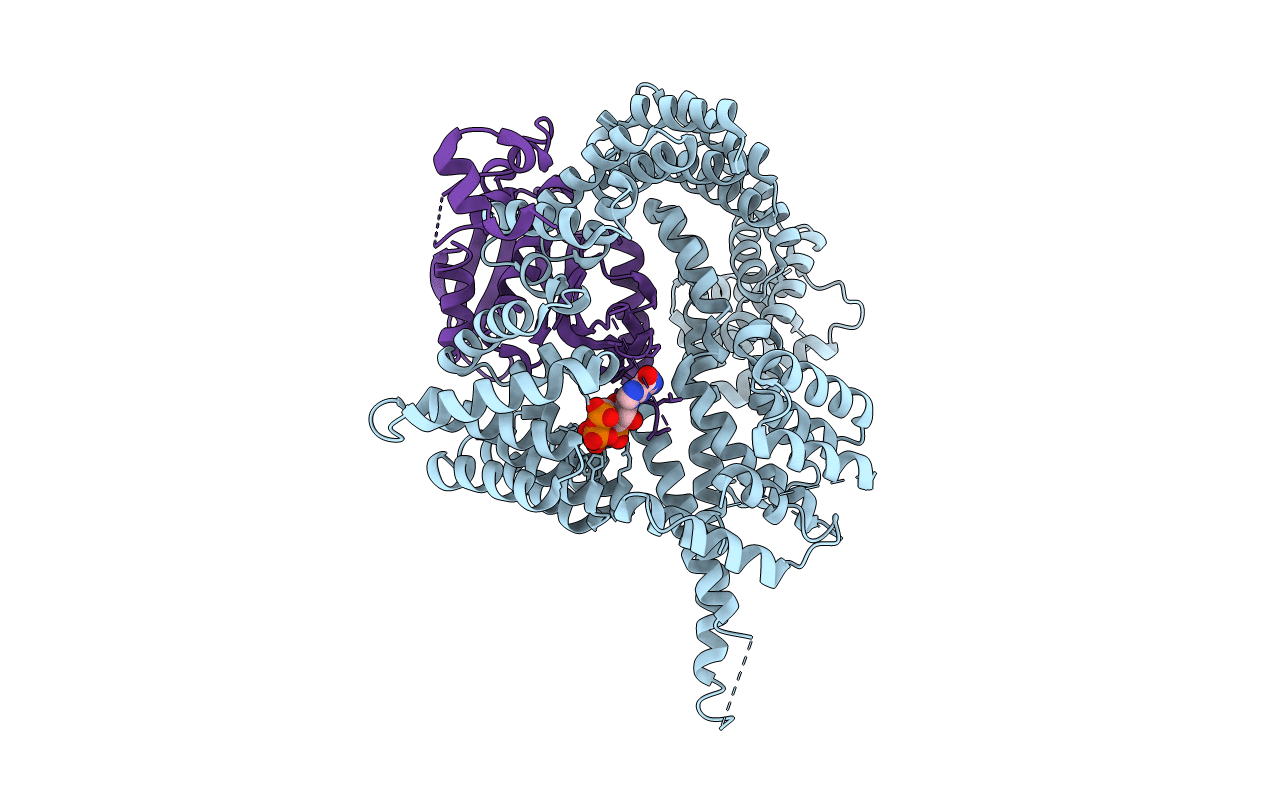 4HNX image
