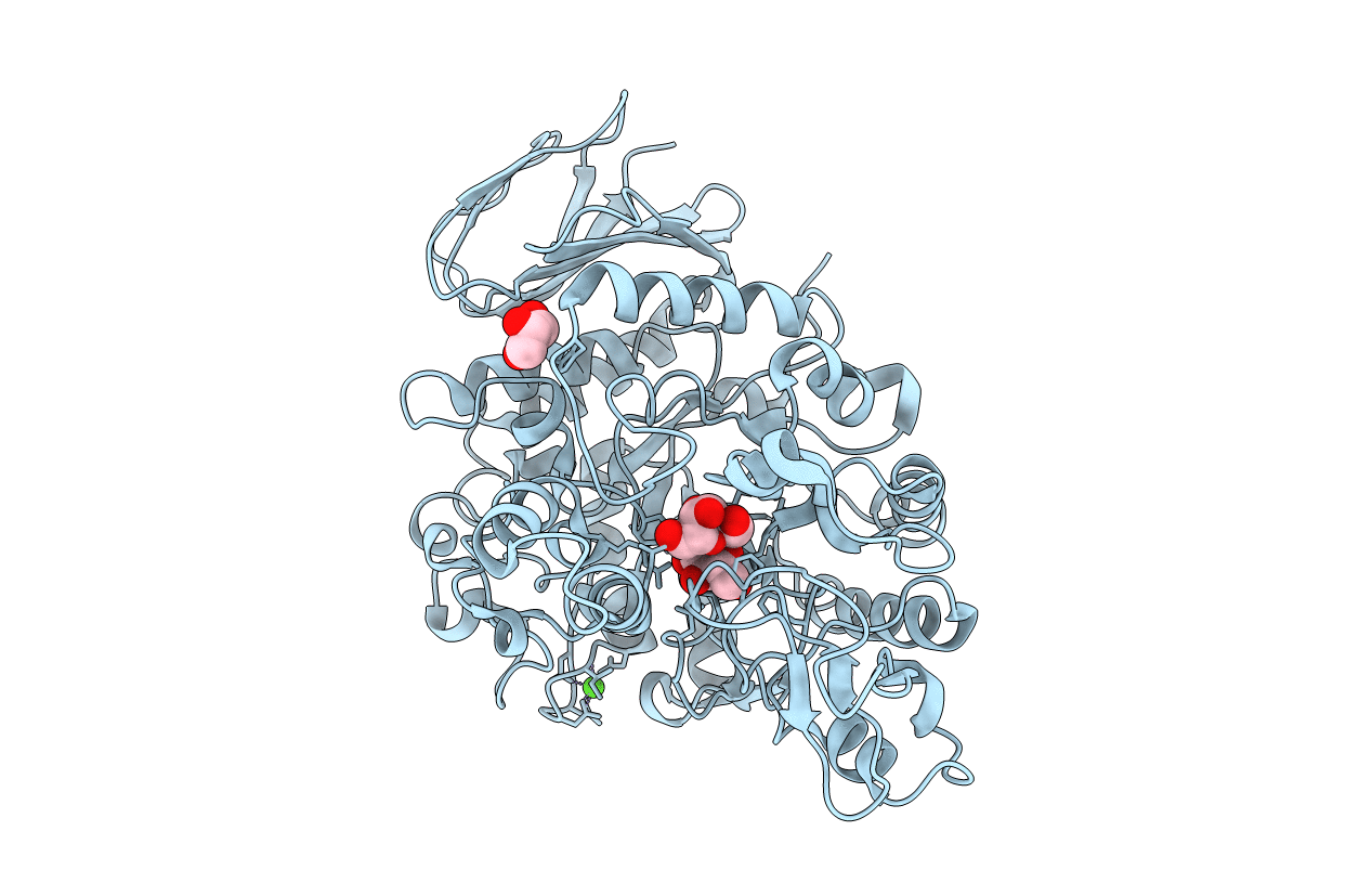 4HPH image