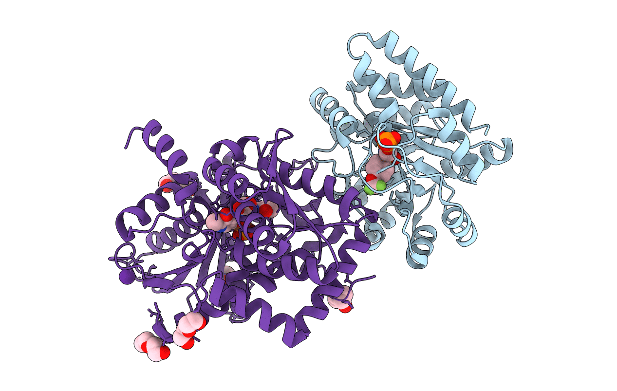 4HPJ image