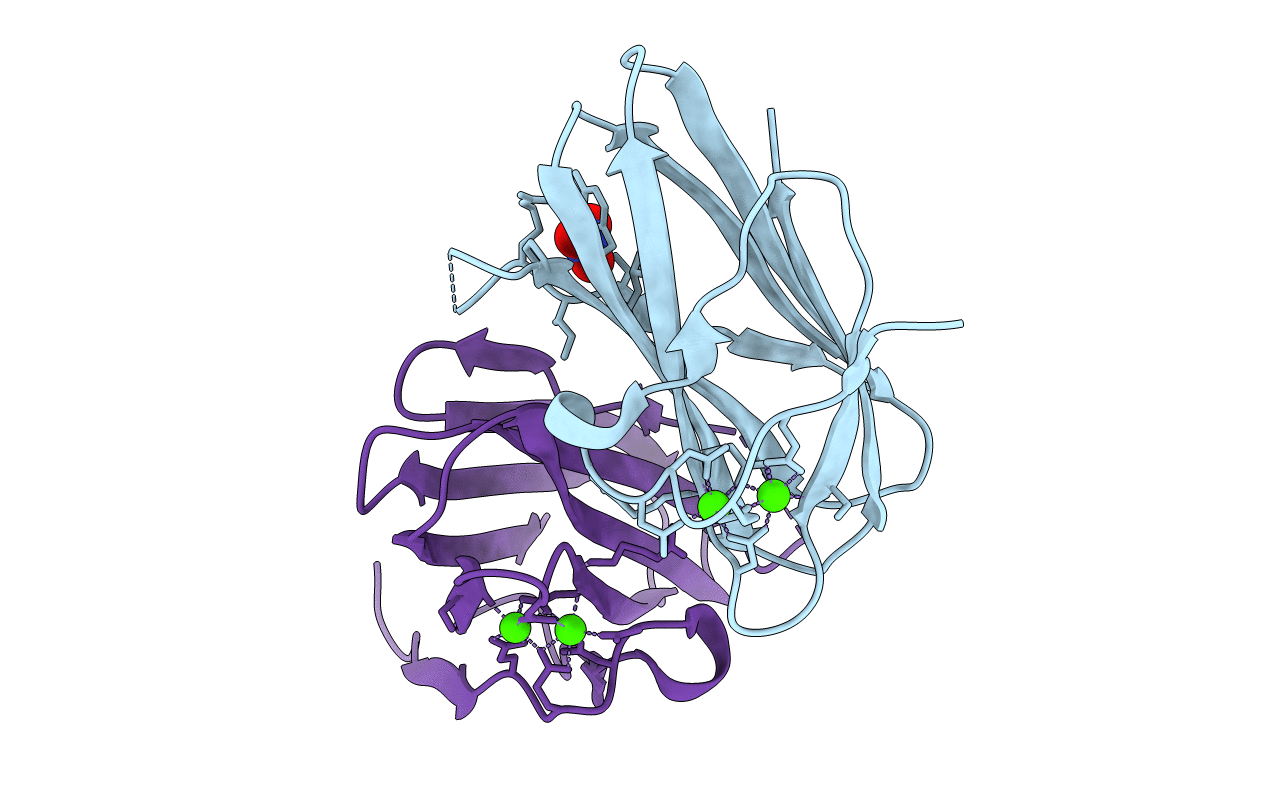 4HPK image