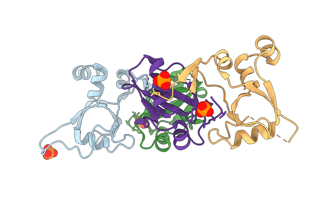 4HPM image