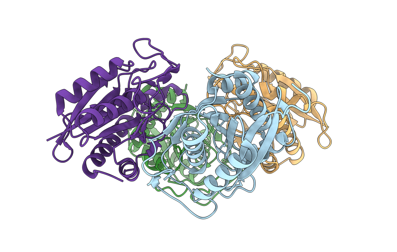 4HPS image
