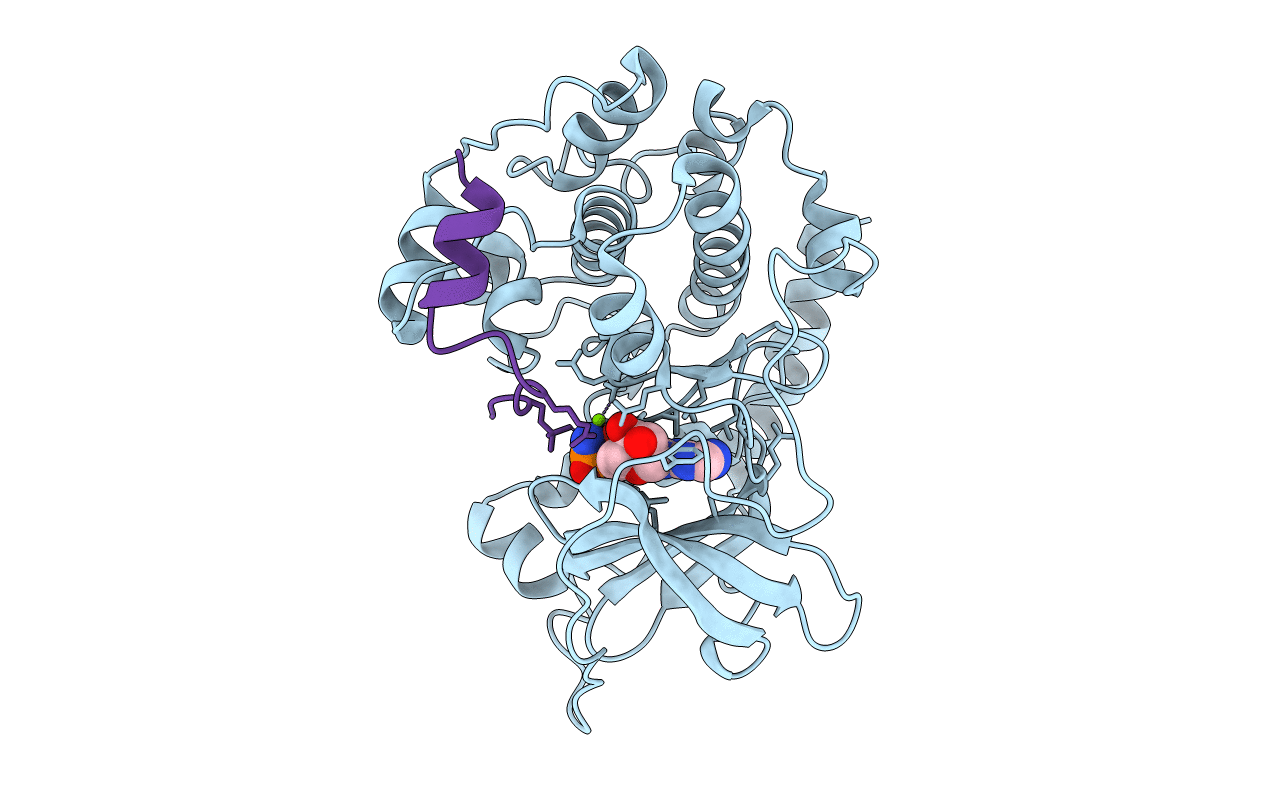 4HPT image