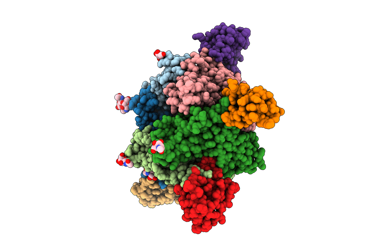 4HQP image