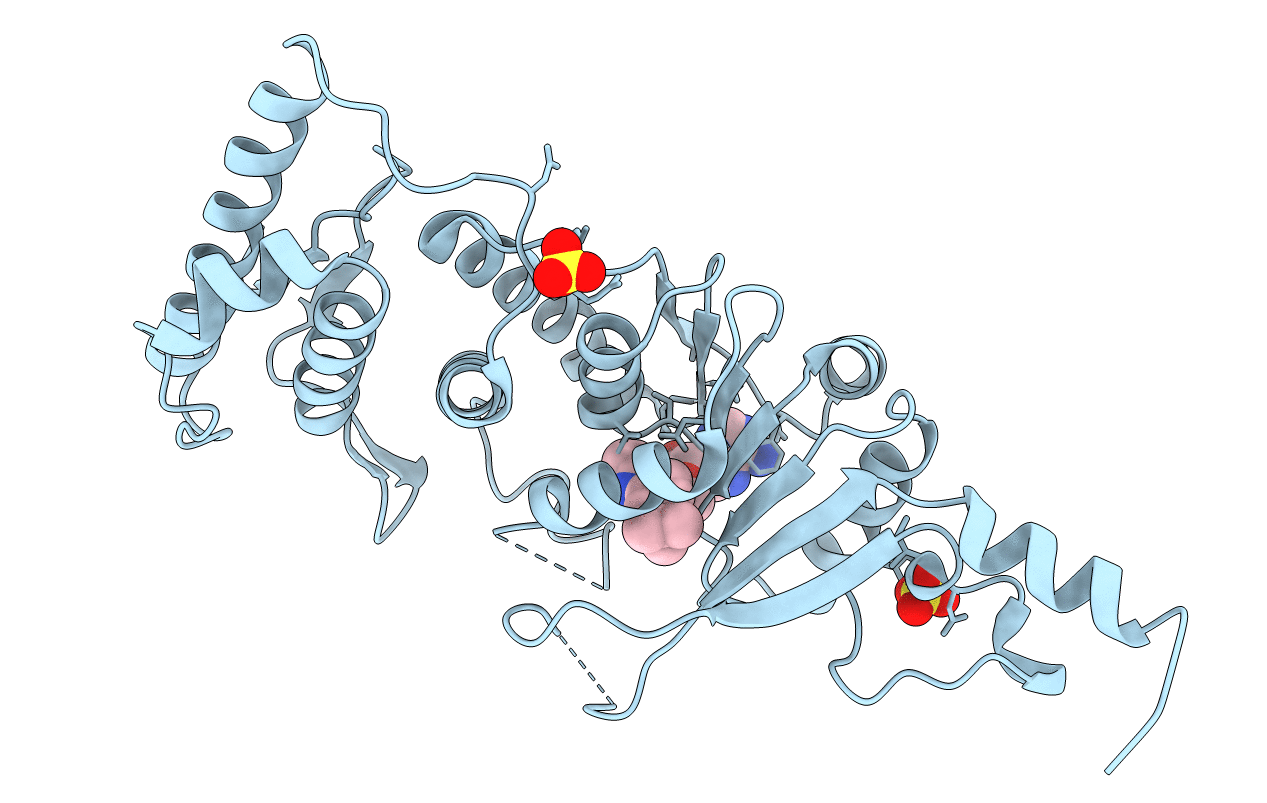 4HRA image