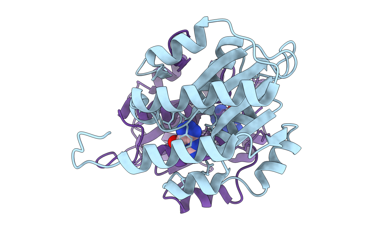 4HRQ image