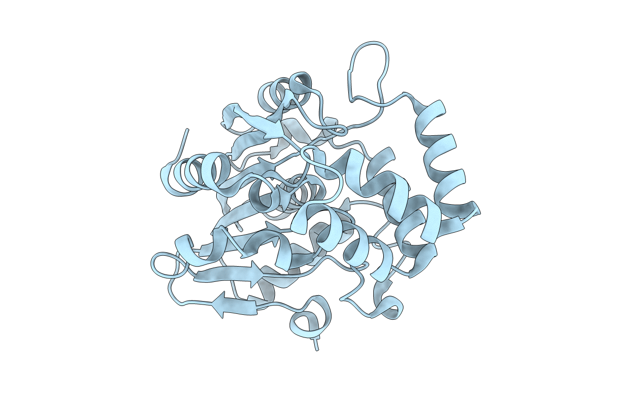 4HRX image