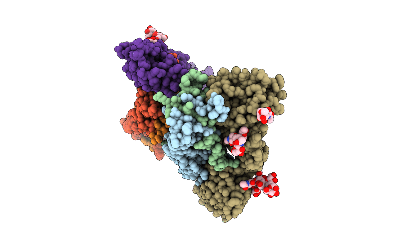 4HSA image