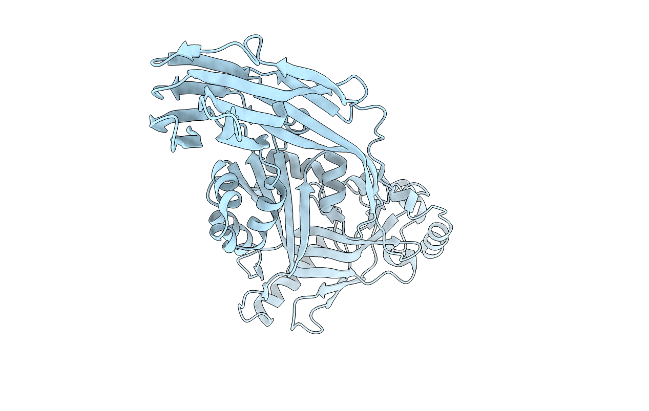 4HSC image