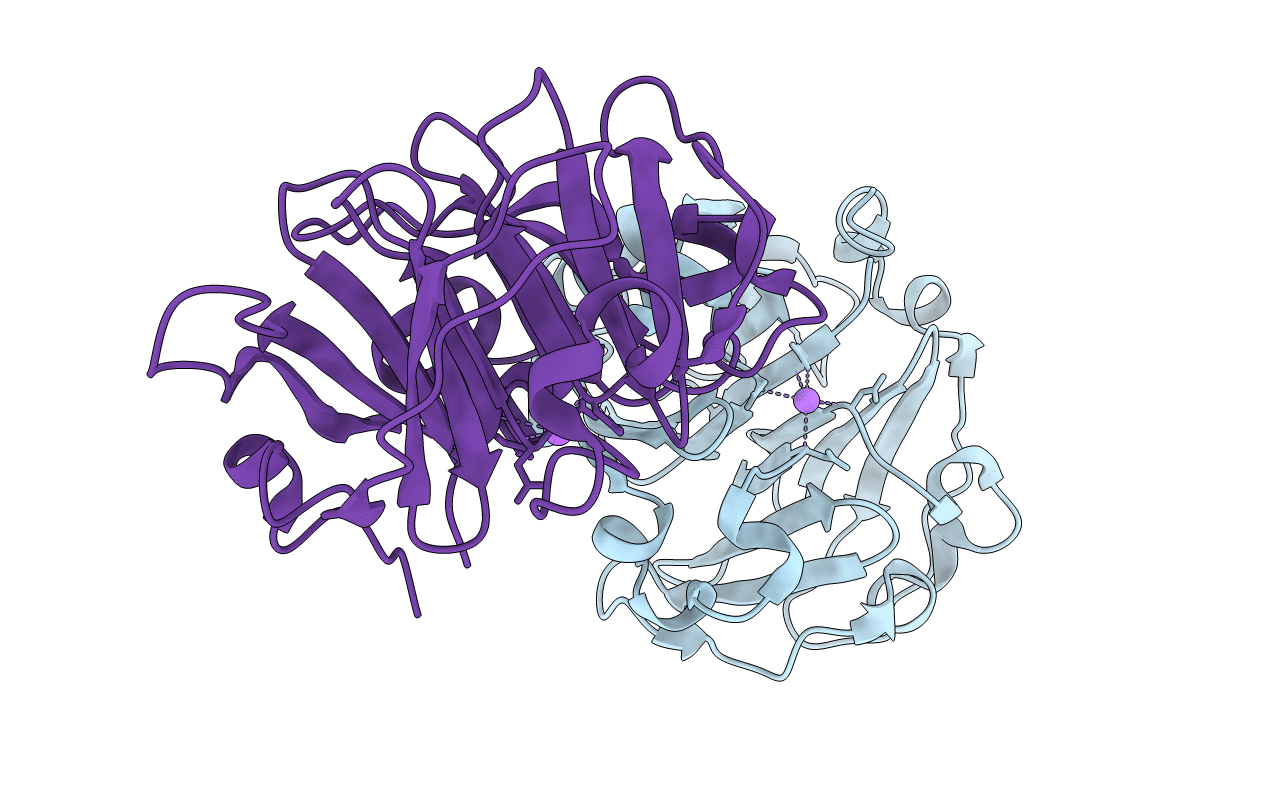 4HSD image
