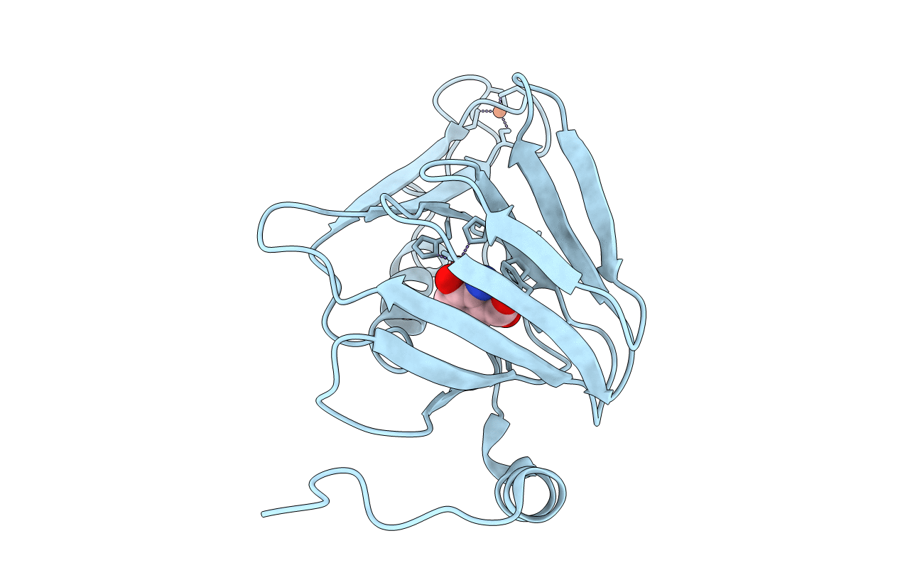 4HSL image