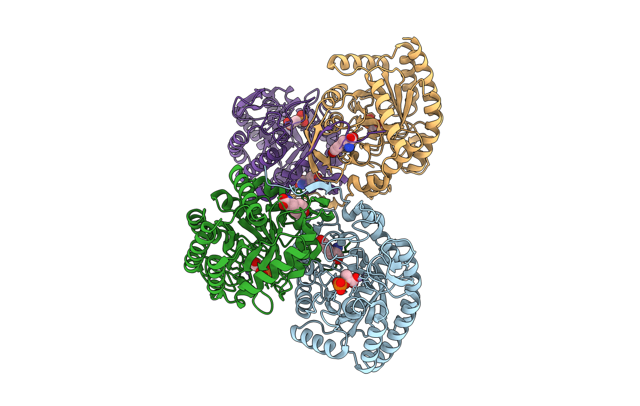 4HSO image