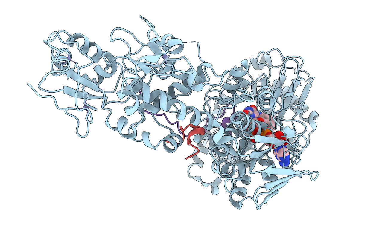 4HSU image