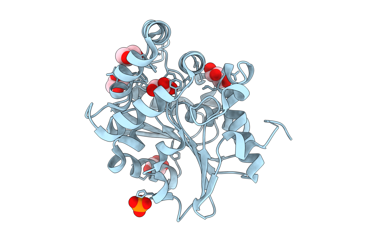 4HTA image