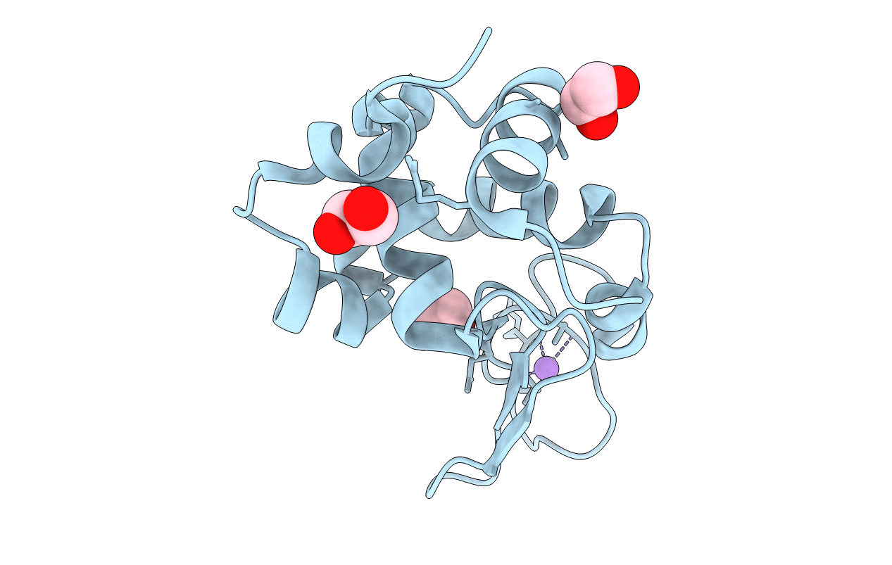 4HTN image