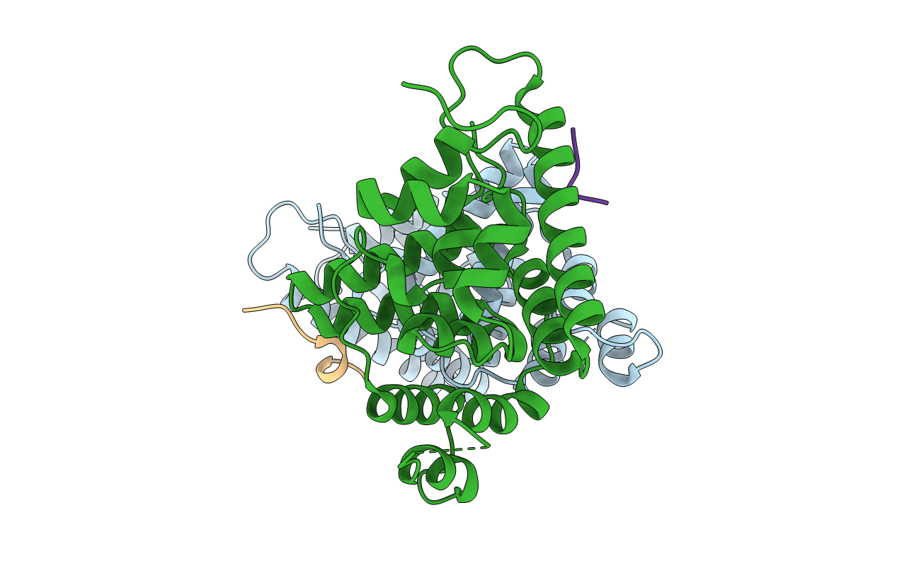 4HTP image
