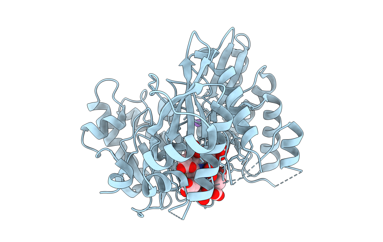 4HTR image