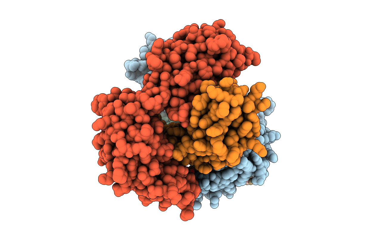 4HUV image
