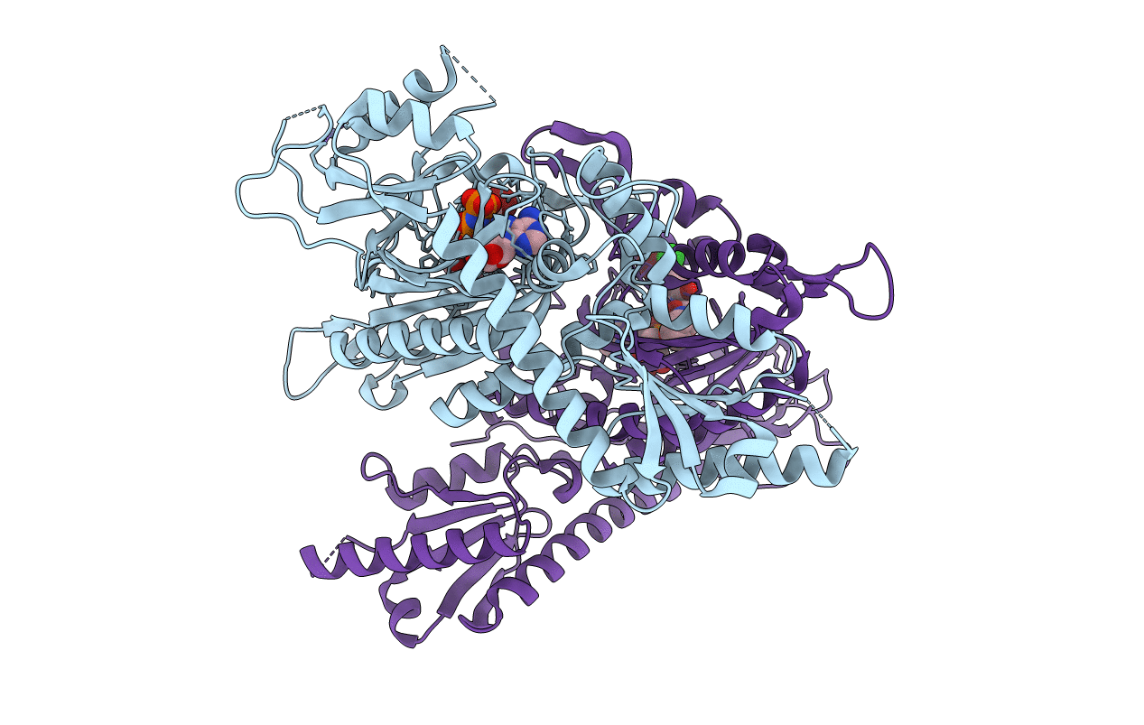 4HVC image