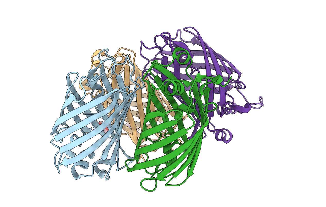 4HVF image