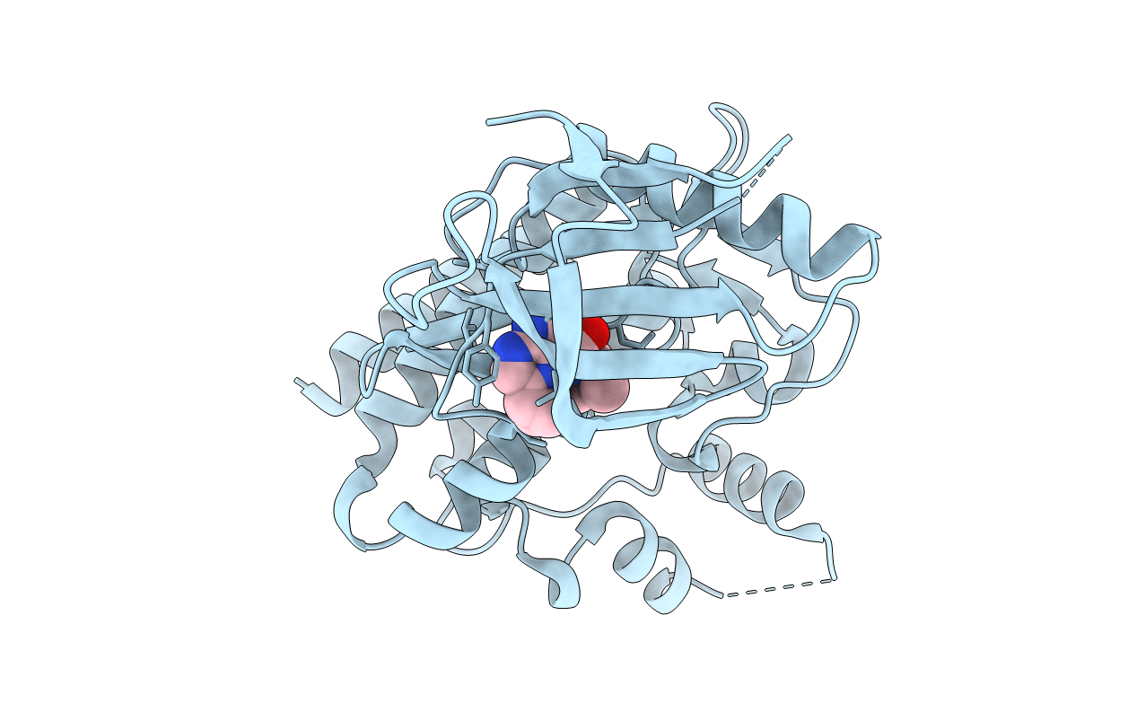 4HVG image