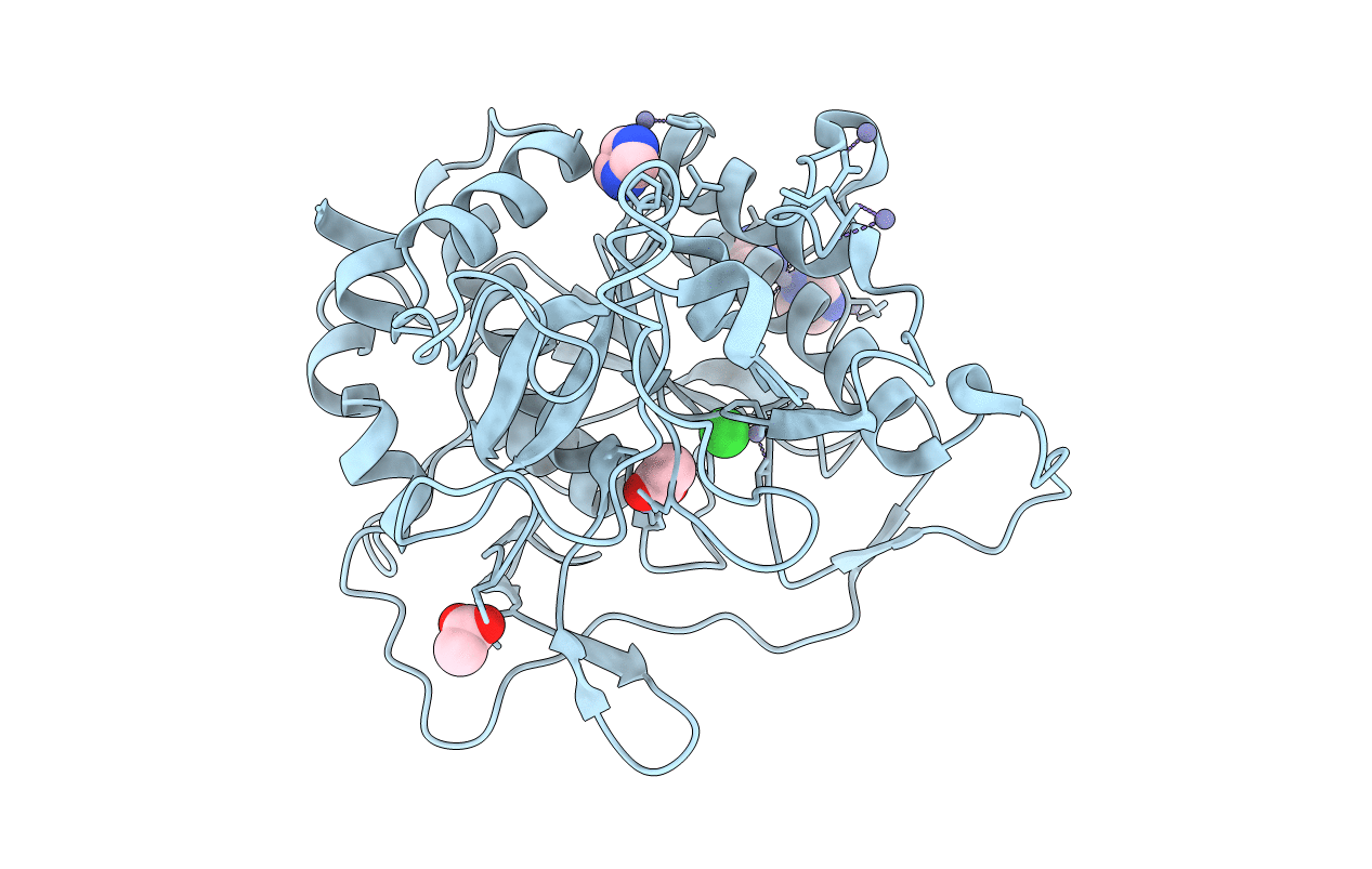4HVL image