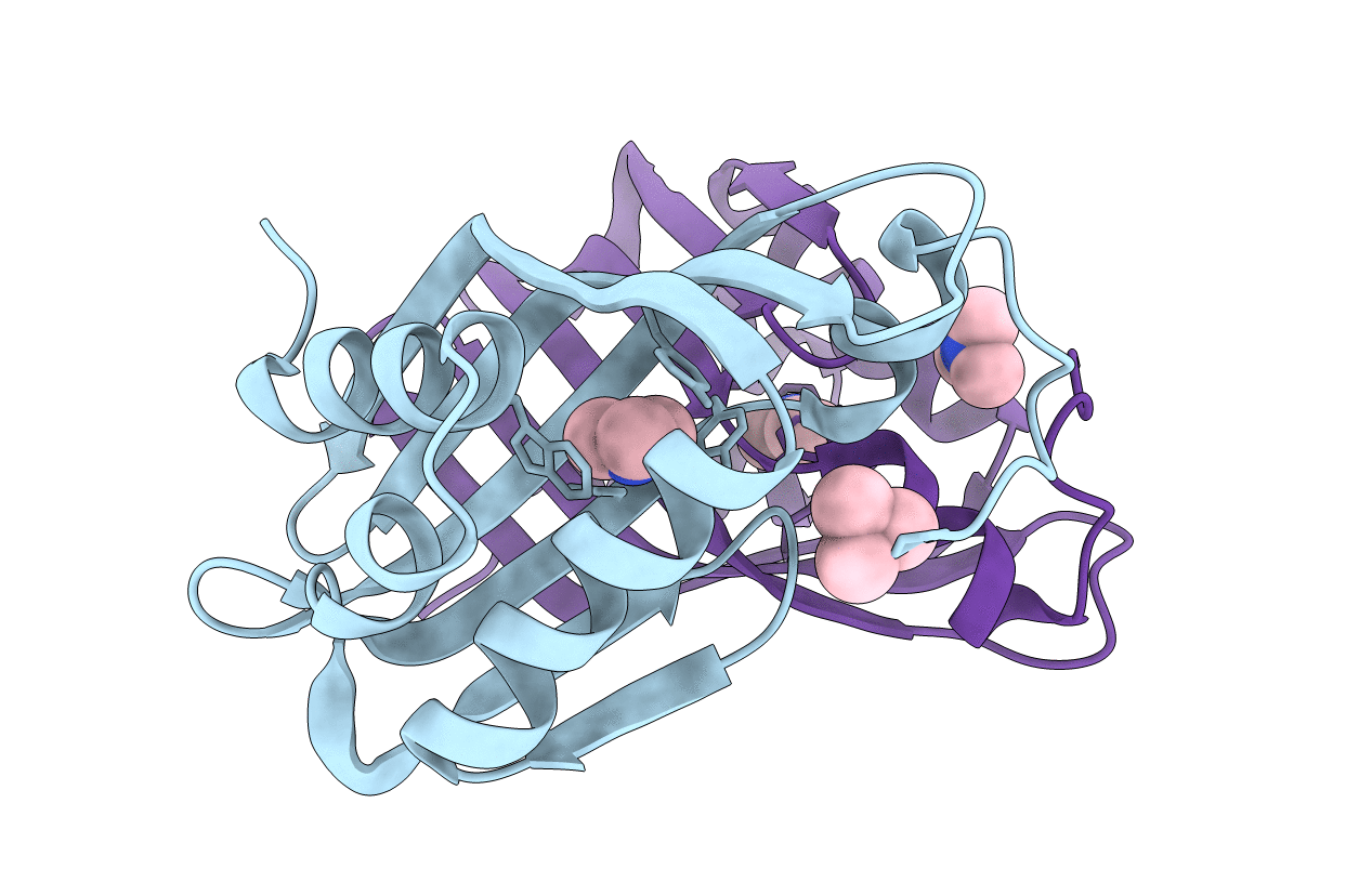 4HVN image